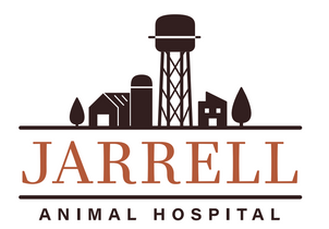Reserve Grand Champion - Jarrell Animal Hosp